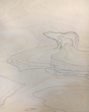 Load image into Gallery viewer, Northern Light