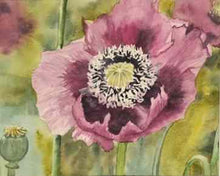 Load image into Gallery viewer, Purple Poppies
