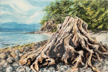 Load image into Gallery viewer, What Was