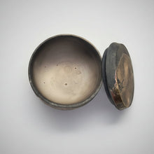 Load image into Gallery viewer, Wing Brushed