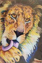 Load image into Gallery viewer, Assorted Limited Amanda Frost Prints