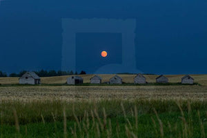 Harvest Moon