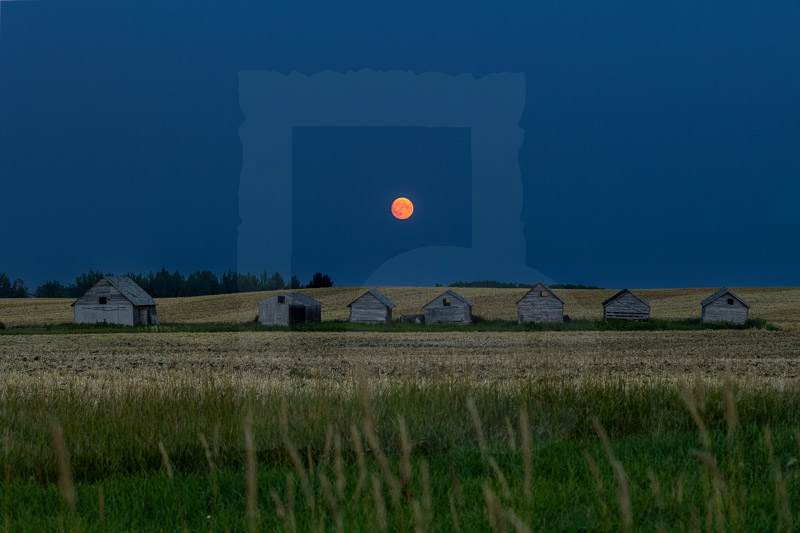 Harvest Moon