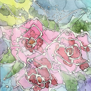 Rosa