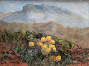 Cactus Flowers