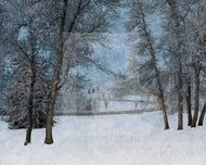 Frosty Road (Michener Hill)