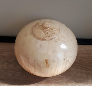 Hollow form with a lid Vase