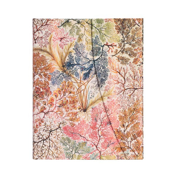 Anemone Journal