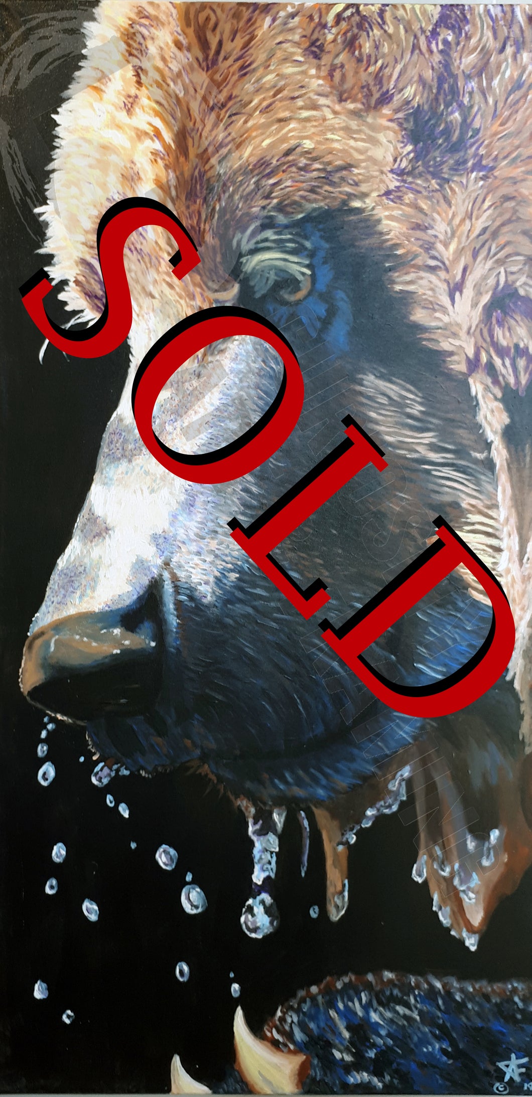 Grizzly (Sold)