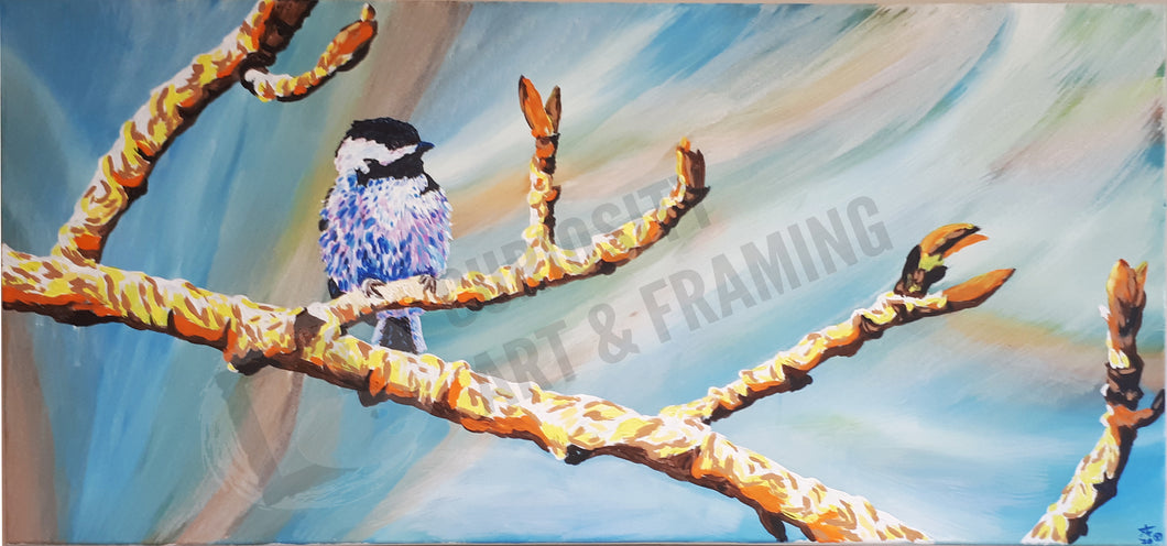 Spring Bird